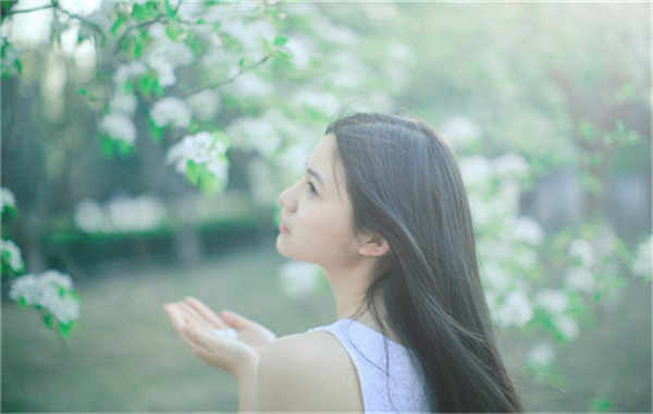 通榆验血查男女几周可以验(验血查男女结果图)